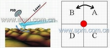 原子力显微镜（AFM）横向力模式示意图