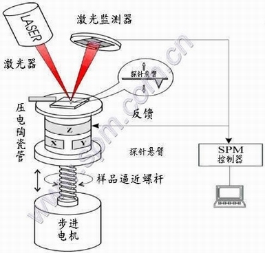 原子力显微镜（AFM）系统结构