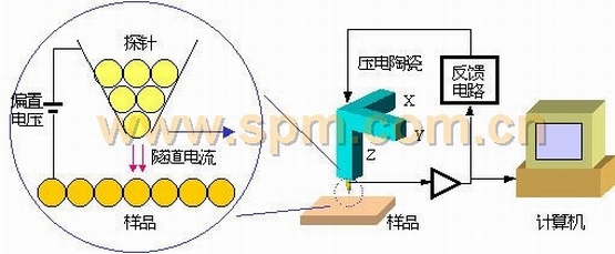 扫描隧道显微镜(STM)示意图