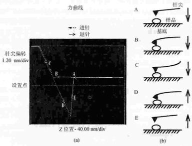 AFM典型力曲线（force-separation curve）