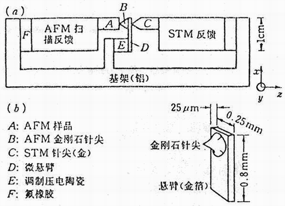 AFM的工作原理示意图