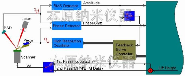 静电力显微镜原理图